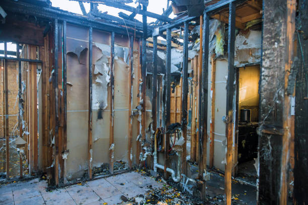 Professional Smoke Damage Removal technician working in Wymore, NE